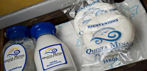 Hotel Y Villas Quinta Minas ロス・アヤラ エクステリア 写真